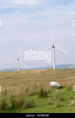 Der Lambrigg Windpark, Cumbria. Stockfoto