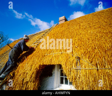 Thatchers bei der Arbeit Stockfoto