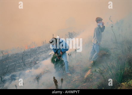 2 junge weiße Männer in blauen Uniformen kämpfen ein Buschfeuer in der Western Cape-Südafrika Stockfoto