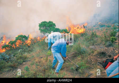 2 junge weiße Männer in blauen Uniformen kämpfen ein Buschfeuer in der Western Cape-Südafrika Stockfoto