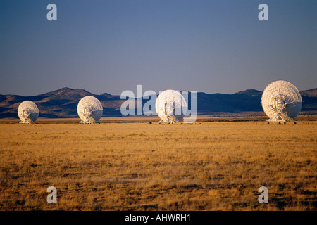 VLA Very Large Array-Radioteleskop-Gerichte in Feld verstreut Stockfoto