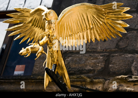 Diese golden Hawk und Ratte Skulptur sitzt oben auf ein Wegweiser in Edinburgh High Street, Royal Mile Schottland. Stockfoto