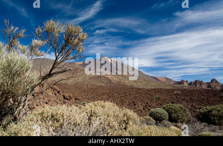 Parc Nacional del Teide Teneriffa Kanarische Inseln Spanien Stockfoto