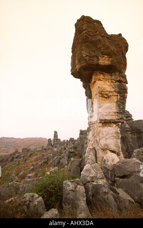 China Yunnan Shilin Steinwald Stein Pilz Bereich Stockfoto