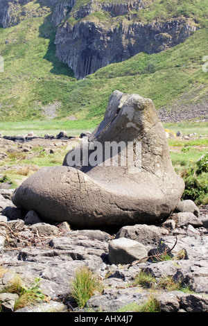 Das Riesen Boot Rock, Giants Causeway, Nordirland. Stockfoto