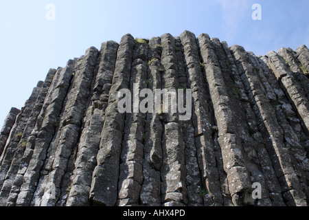 Eine Wand aus vulkanischen Felsen Basaltsäulen an die Giants Causeway, Irland. Stockfoto