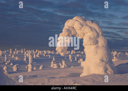 Winter-Szene in Finnland mit Schnee bedeckten Bäume Stockfoto