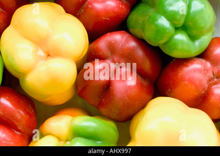 Gemischte rote gelbe und grüne Paprika Stockfoto