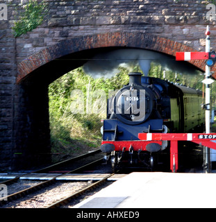 Dampflokomotive 80136 kommt in den Bahnhof mit der West Somerset Railway Stockfoto