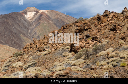 Parc Nacional del Teide Teneriffa Kanarische Inseln Spanien Stockfoto