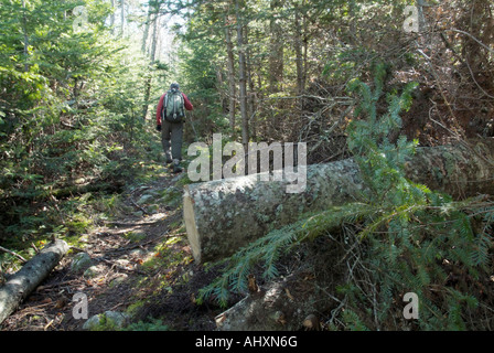 Wandern, White Mountains, New Hampshire, New england Stockfoto