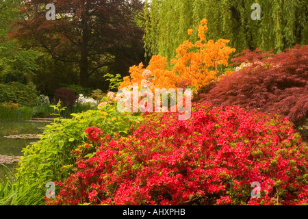 Büsche von verschiedenen Blumen in Monet-Garten in Giverny Frankreich Stockfoto
