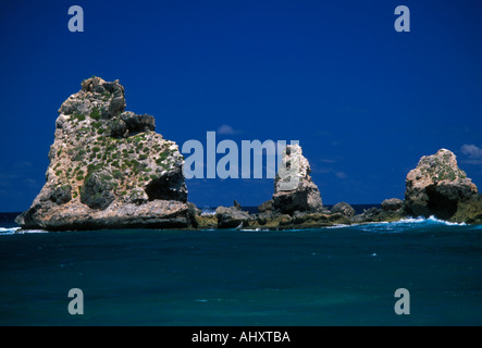 Felsformationen, Pointe des Chateaux, Castle Point, Burgen Landspitze, Grande-Terre, Grande-Terre Insel, Guadeloupe, Französische Antillen, Frankreich Stockfoto