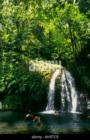 Leute, Schwimmen, La Cascade aux Ecrevisses, Langusten, Krebse Wasserfall fällt, Wasserfall, Basse-Terre, Guadeloupe, Französische Antillen, Frankreich Stockfoto