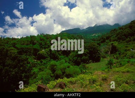 La grande Soufriere, la Soufriere Soufriere Volcano, aktiven Vulkan, Stratovulkan, Kleine Antillen vulkanischen Bogen, Guadeloupe, Französisch Westindien Stockfoto