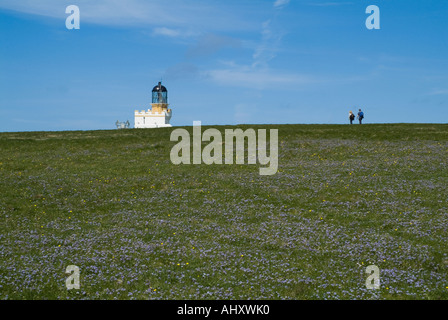 dh Brough of Birsay BIRSAY ORKNEY blaue Feder Blaustern Blumen Tourist paar zu Fuß zum Leuchtturm von Birsay Stockfoto