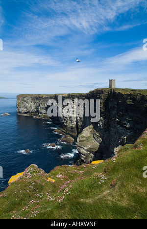 dh Marwick Head BIRSAY ORKNEY Kitchener Memorial Meer pinks auf seacliff top RSPB Natur Vögel Reserve Küste schottland schottische Küste vereinigtes Königreich Stockfoto