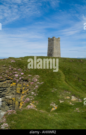 dh Marwick Head BIRSAY ORKNEY Kitchener Denkmal am RSPB Vogel Natur reservieren Sparsamkeit Blumen auf Seacliff Stockfoto