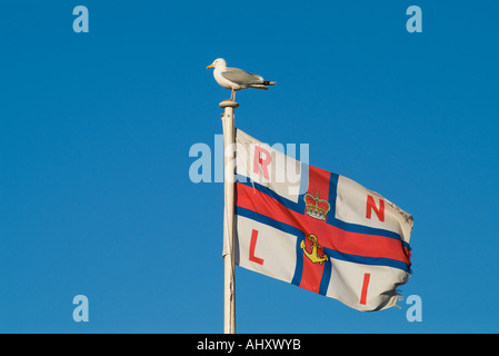 dh RNLI Fahne Flagge UK Möwe sitzt am Royal National Lifeboat Institution Flagge fliegen Stockfoto