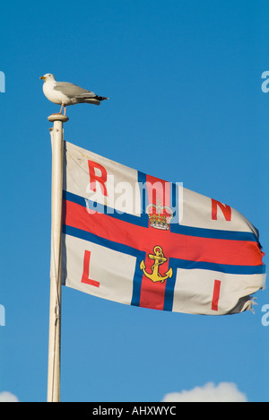 dh RNLI Fahne Flagge UK Möwe sitzt am Royal National Lifeboat Institution Flagge Stockfoto