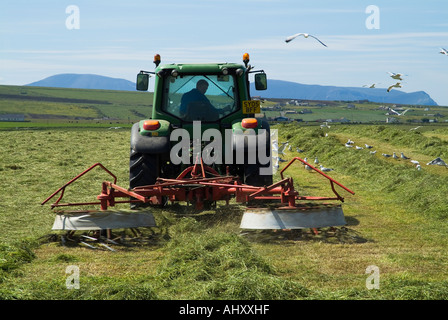 dh ERNTE UK Traktor Harken Silage Gras für die Ernte Möwen Fütterung Stenness Orkney Ackerland Landwirtschaft Landmaschinen Heu Ausrüstung Stockfoto