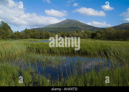 dh Mountain Schiehallion DUNALASTAIR WATER PERTHSHIRE Schottische Landschaft Berg Schottland Munro malerische blaue Himmelslandschaften loch Stockfoto