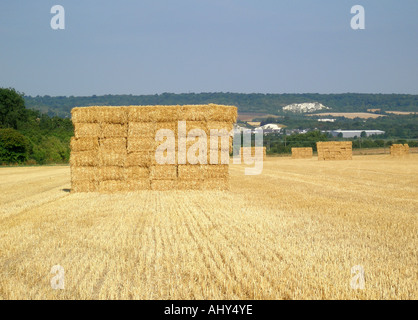 Heuhaufen gemacht von quadratischen Ballen Heuballen in einem abgeernteten Maisfeld in Kent, England Stockfoto