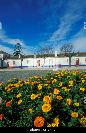 Blumen draußen ziemlich weiße Häuschen mit roten Tür und blaue Windows Porto Cova Algarve Portugal EU Europa Stockfoto