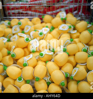 Kunststoff Zitronen in einem UK-Markt Stockfoto