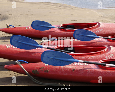 Reihe von roten Kajaks und blaues Paddel an einem Sandstrand am Meer Stockfoto