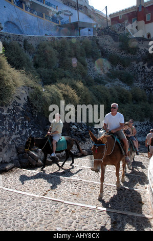 Touristen fahren Esel die Stufen vom Hafen in Fira, Santorini, Griechenland Stockfoto