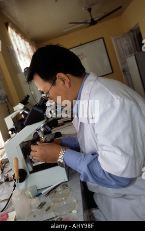 Dr. Namgyal mit einem Mikroskop am Men Tsee Khang Medical und Astro Institute of Tibetische Medizin in Dharamsala, Himachal Pradesh, Indien. Stockfoto