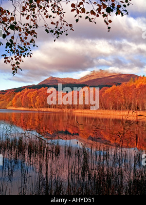 HERBSTLICHE AUSSICHT AUF BEN LOMOND VON LOCHEN AM LOCH LOMOND Stockfoto
