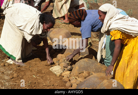 Frauen Terrassierung von Feldern, um Bodenerosion in der Nähe von Mekelle in Tigray, Nord-Äthiopien zu verhindern Stockfoto