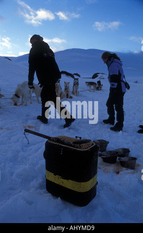 Fütterung von Husky Schlittenhunde entlang des Kungsleden in Lappland Nordschweden Stockfoto