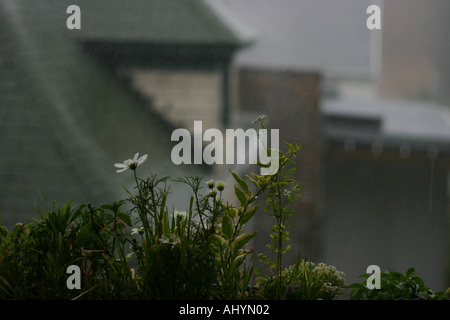 Regnerischen Tag schaut aus dem Fenster Stockfoto