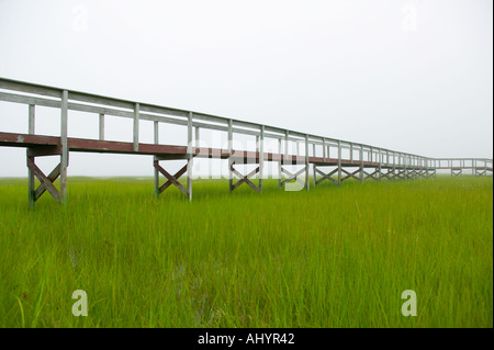 Dock mit Marsh Marshfield Massachusetts Stockfoto