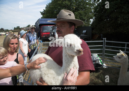 Weiße Baby Lama auf dem Display von Keeper am Sommerfest in England gehalten Stockfoto