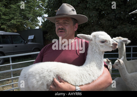 Weiße Baby Lama auf dem Display von Keeper am Sommerfest in England gehalten Stockfoto