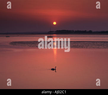 Pralinenschachtel Bild der Abendsonne einer Blick über die Menaistraße Schwan-silhouette Stockfoto