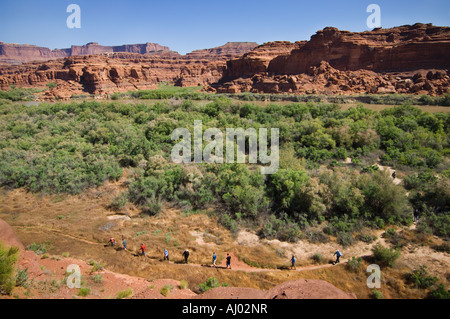 Menschen wandern im Canyon, Canyonlands National Park, Moab, Utah, Vereinigte Staaten von Amerika Stockfoto