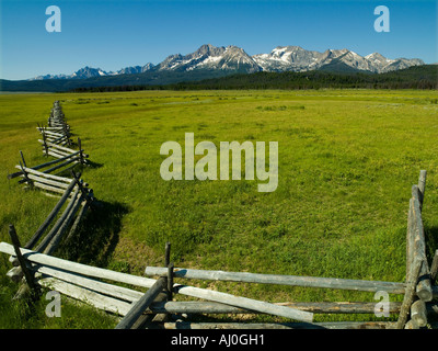 Williams-Peak bei 10 635 ft Webstühle große an einem Sommermorgen in der Sägezahn-Tal in der Nähe von Stanley Idaho mit Drehkiefern Zaun ich Stockfoto