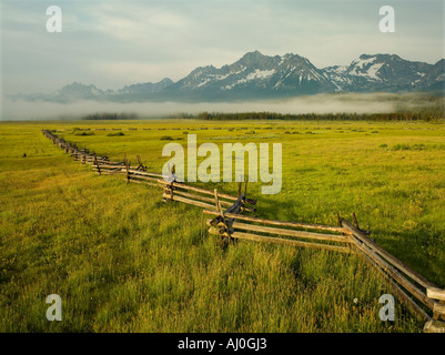 Williams-Peak bei 10 635 ft Webstühle große gegen Nebel im Tal in der Nähe von Stanley Idaho Sawtooth mit Lodgepole pine fe Stockfoto