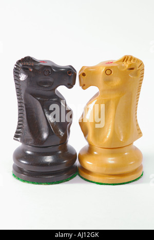 Schach-Ritter - einander zugewandt sind schwarz und weiß-Schach-Ritter Stockfoto
