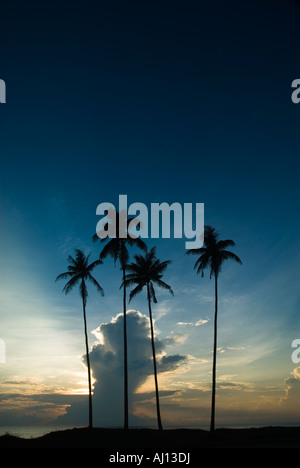 Sun ray aus dem Himmel. Stockfoto