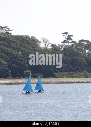 Zwei blaue segelte Jollen auf ruhiger See, neben einem Baum Linien-Ufer Stockfoto