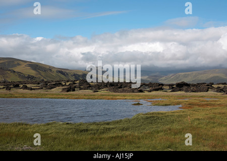 Island von Dyrhólaey in Richtung Mýrdalsjökull Stockfoto