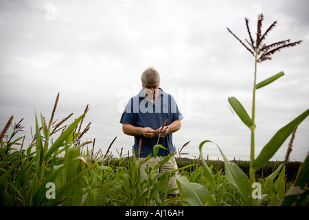 Landwirt Rob Law, Farmer des Jahres 2007 auf Sparsamkeit Bauernhof, Hertfordshire Stockfoto