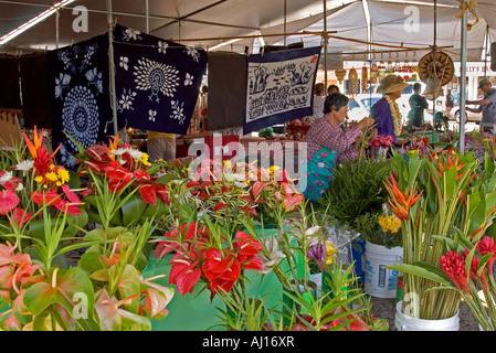 USA, Hawaii, Hilo, Big Island, Bauernmarkt, tripical Blume Stand Anbieter Stockfoto