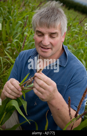 Landwirt Rob Law, Farmer des Jahres 2007 auf Sparsamkeit Bauernhof, Hertfordshire Stockfoto